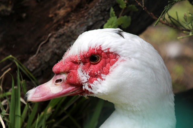 亲切地走到 亲切地走到