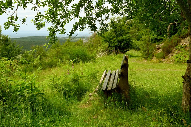 澳门再次成 澳门再次成