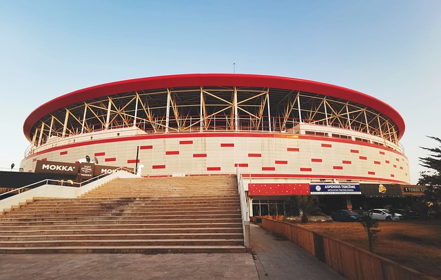 战术思路 战术思路