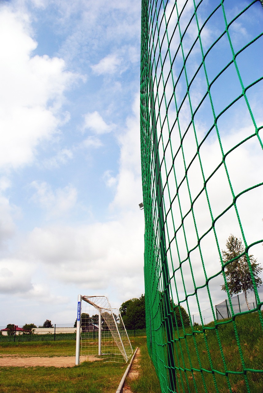 强硬的篮板 强硬的篮板