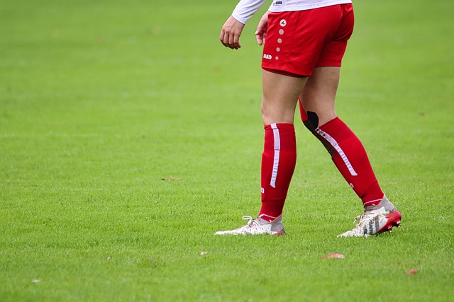 俱乐部争相 俱乐部争相