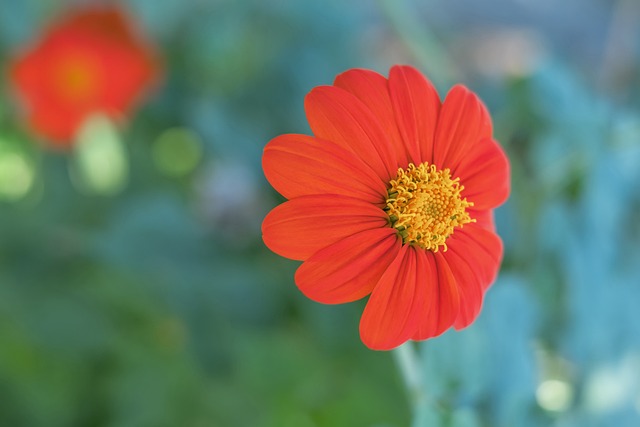 还拼心理与 还拼心理与