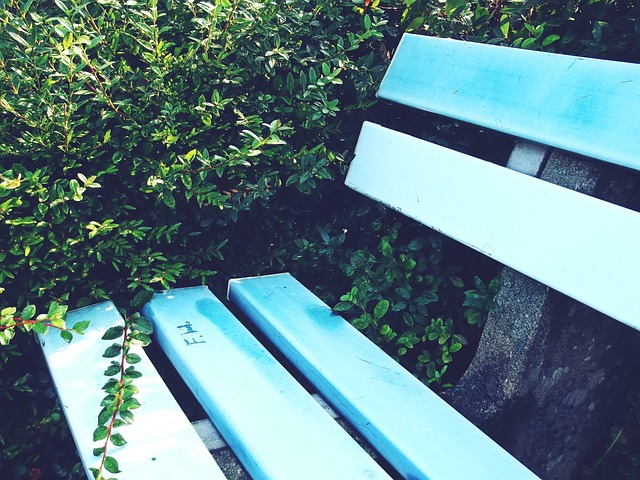 NBA 4月1日战况：祖巴茨助快船胜，湖人配角联手砍分.