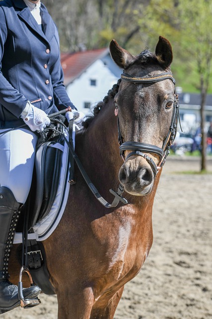 [田径]吴艳妮创造历史 8秒01打破全国纪录.