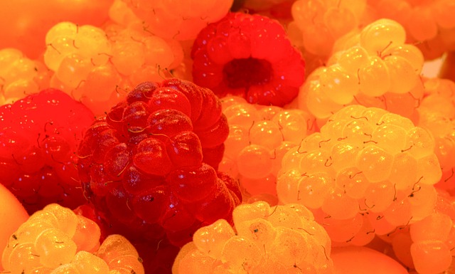 助她维持体 助她维持体