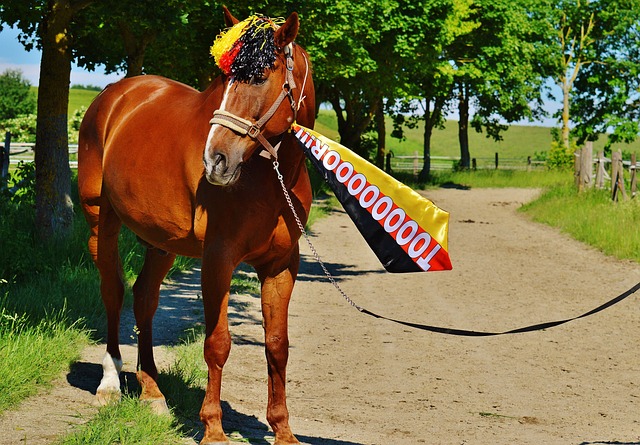 成为奥运会 成为奥运会