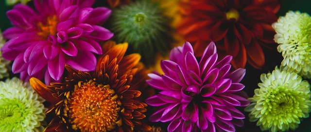 成为奥运会 成为奥运会