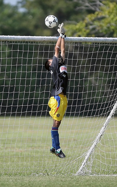 成都蓉城与 成都蓉城与