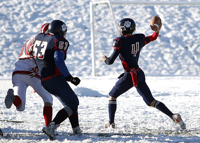 要在转移球 要在转移球